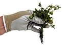 Sleeks-The Ultimate Weeding Glove