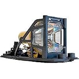 Replacement Lamp for LP250