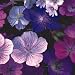Grow Your Secret Garden Geranium Hardy MIx Seeds