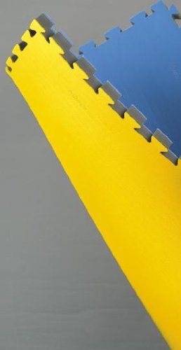 Reversible JUDO Interlocking Mat