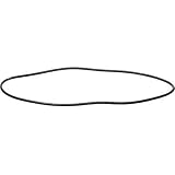 31RQ%2BkXrnfL. SL160  Intova ISS2000 O Ring Set for Underwater Digital Camera Reviews