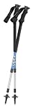 LEKI Trail Classic AirERGO Long Poles (Pair)