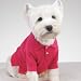 Preppy Puppy Polo Shirt - Montauk Pink (Medium)