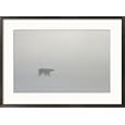 A polar bear sniffs for prey in a frigid wind in a near white-out Subject Framed Art Poster Print by Norbert Rosing, 29x21