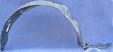 98-02 HONDA ACCORD SEDAN FRONT SPLASH SHIELD RH (PASSENGER SIDE), Fender Liner (1998 98 1999 99 2000 00 2001 01 2002 02) 10124 74101S84A00