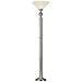 Kenroy Home Electra Torchiere Image