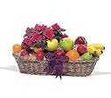 Fruit and Plant Basket