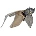 Prowler Owl Frightens Away Unwanted Rodents and Birds