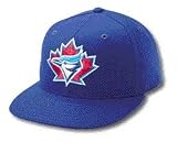 Toronto Blue Jays - Field High Def License Plate MLB Pro Baseball