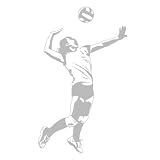 Sudden Shadows VOLLEYBALL SERVER