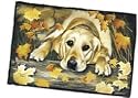 Golden Retriever Dogs Indoor / Outdoor Designer Doormat