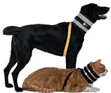 Handicappedpets