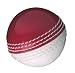 GUNN & MOORE Steve Harmison Skills Cricket Ball (3040), WHITE, SENIOR