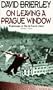 On Leaving a Prague Window