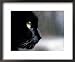 Black Cat Looking Out a Window Framed Art Poster Print by Robert Ginn, 22x18