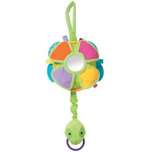 Childrens Toyshop  Toys : Twinkle Turtle