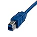 StarTech.com 10 ft / 3m SuperSpeed USB 3.0 Cable A to B - USB 3 A (m) to USB 3 B (m) (USB3SAB10),Blue