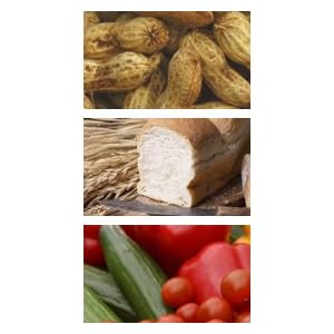 Test Kit: General Food Allergy Test, 96 general foods by Vitamin Research Products