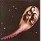 Essential Ritchie Blackmore Albums