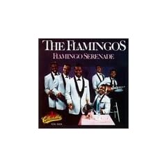 Flamingo Serenade