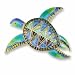 Clearly Charming Island Turtle Sterling Silver and Enamel Pin