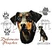 Doberman Pinscher Adult T-Shirt