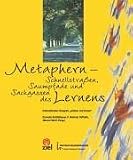 Metaphern: Schnellstrassen, Saumpfade und Sackgassen des Lernens - 