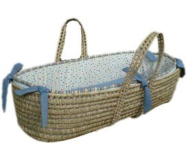 Bailey Moses Basket