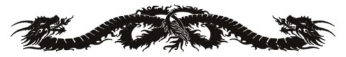 Childrens Toyshop  Health & Personal Care : DRAGON DESIGN No. 3 Band Temporary Tattoo 1.5x9