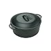 Kitchen & Housewares : Lodge Logic 3 Quart Dutch Oven with Loop Handles