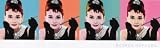 Audrey Hepburn in Breakfast at Tiffanys Art Poster Print, 38x13 Movie Art Poster Print, 38x13