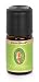 Cedar Wood Oil
