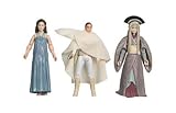 Star Wars 3.75 inch Evolutions Padme Amidala Legacy 3PK