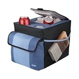 Thermos Back Seat Automotive Organizer
