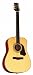 The Silvertone Dreadnought - SD50