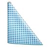 Red gingham plastic tablecloth
