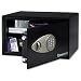 Electronics : Sentry Safe LtopSize ElecLock&Cable X105