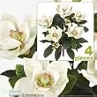 FOUR 2' Magnolia Artificial Silk Flower Bushes (Cream) for Home, Garden and Decoration