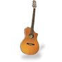Line 6 Variax 700 N Acoustic Guitar