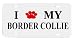 Border Collie Paw Love Dog Vanity Auto License Plate