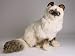  - Birman, Sitting - Lifelike Plush|One Size - 20 inches