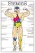 From the Bruce Algra Health + Drug Education Series Effected areas are highlighted in bold colors and explained in clear text Laminated for durability