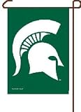 Michigan State Spartans 11x15 Garden flag