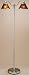 Belle Collection Mica Style Shade 2-Lite Floor Lamp