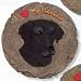 BLACK LAB LABRADOR RETRIEVER Dogs STEPPING STONE