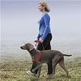Easy Walk Harness, Medium/Large, Black