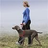 Easy Walk Harness, Medium/Large, Black
