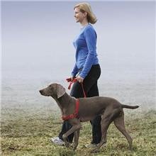 Easy Walk Harness, Medium/Large, Black