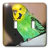 Birds - Budgie Parakeet - Light Switch Covers - double toggle switch