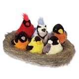 Audubon Singing Bird 6-Piece Set with Nest